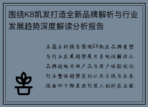 围绕K8凯发打造全新品牌解析与行业发展趋势深度解读分析报告